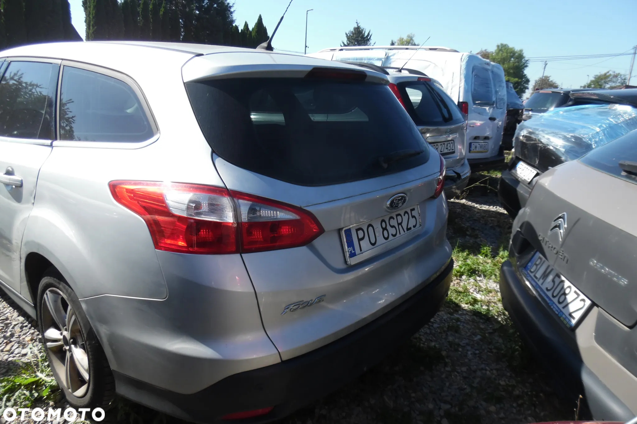 Ford Focus - 17