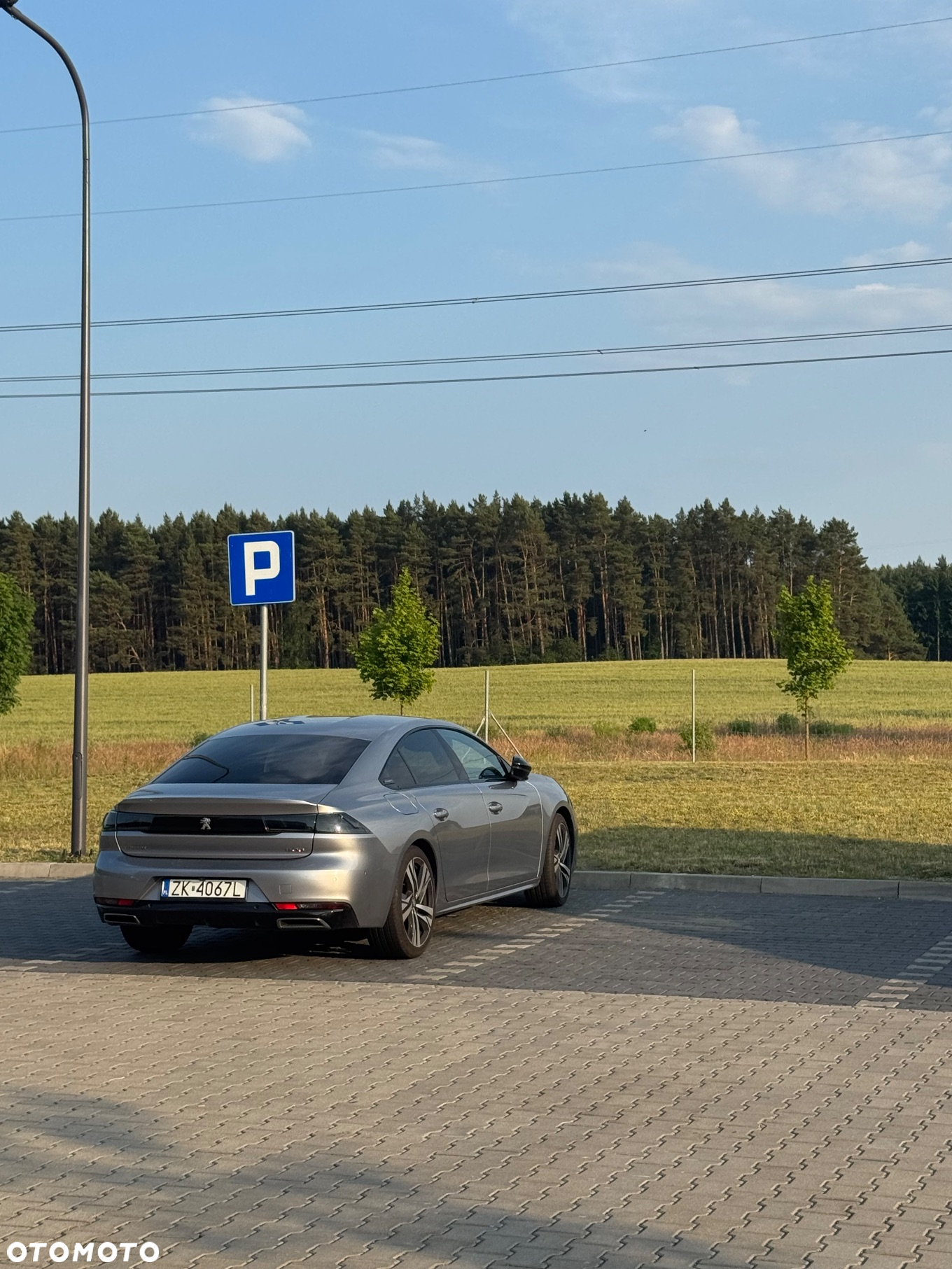 Peugeot 508 1.5 BlueHDi GT Line S&S EAT8 - 21