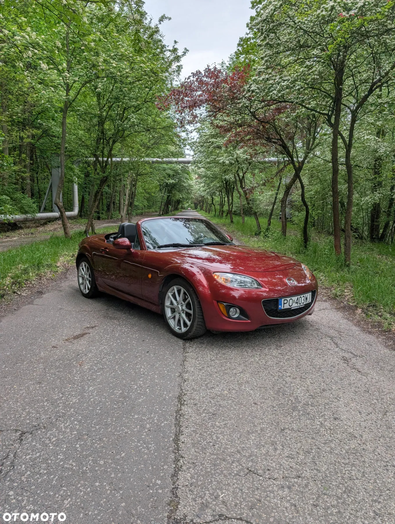 Mazda MX-5 - 22
