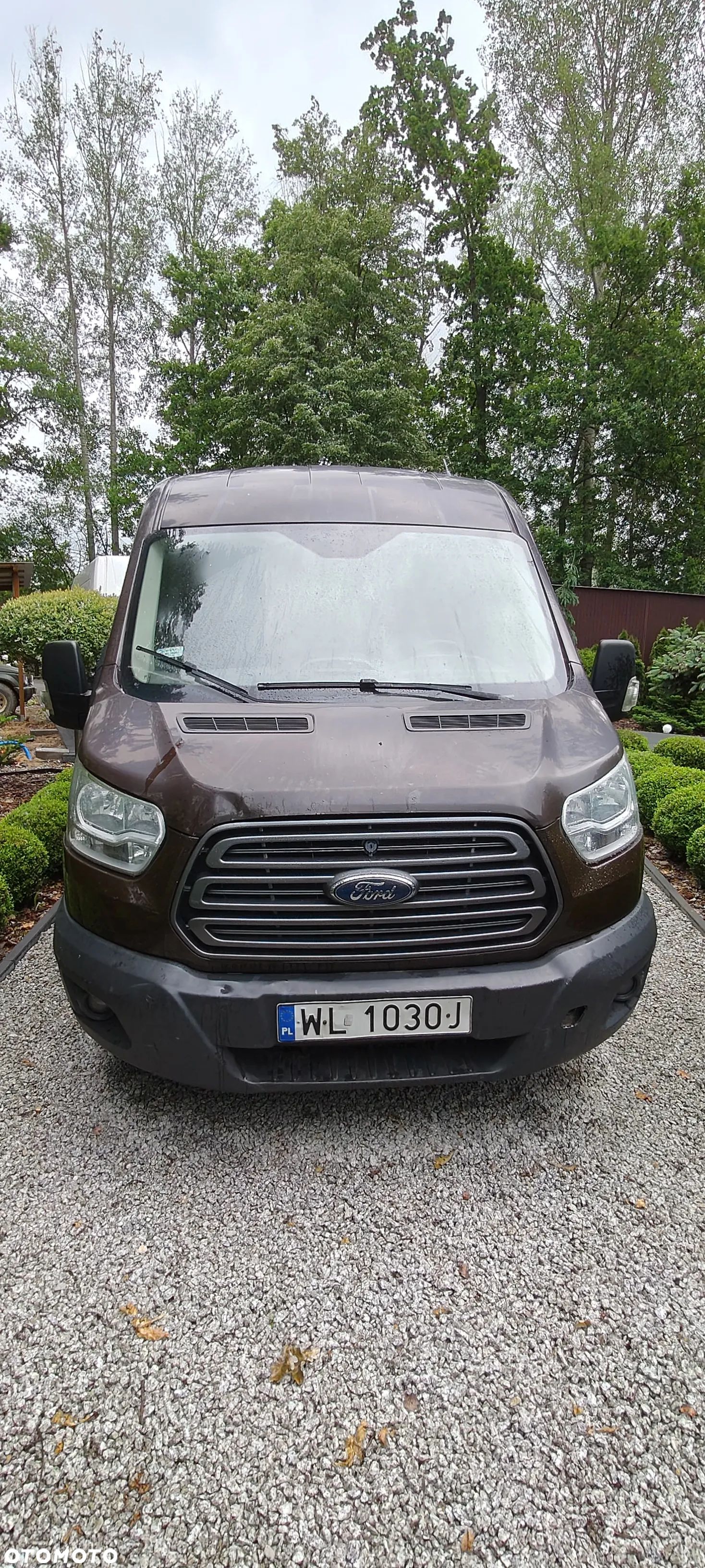 Ford Transit - 1