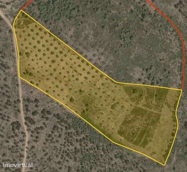 Terreno de 30.320 m² com Potencial Construção de Moradia + Olival - Grande imagem: 2/11