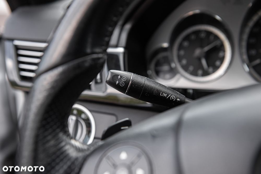 Mercedes-Benz Klasa E 350 CDI DPF BlueEFFICIENCY 7G-TRONIC Avantgarde - 19