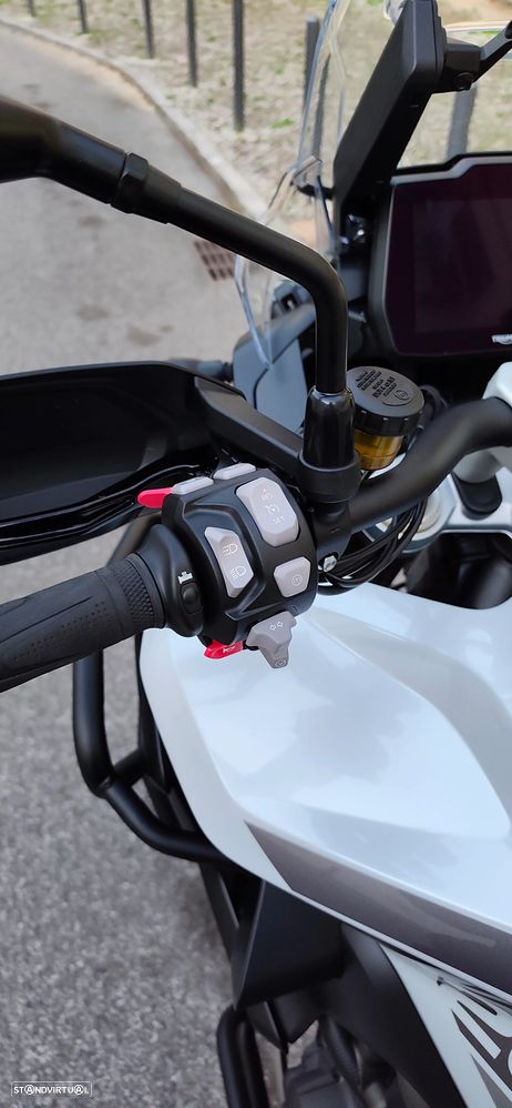 Triumph Tiger Rally Pro - 12