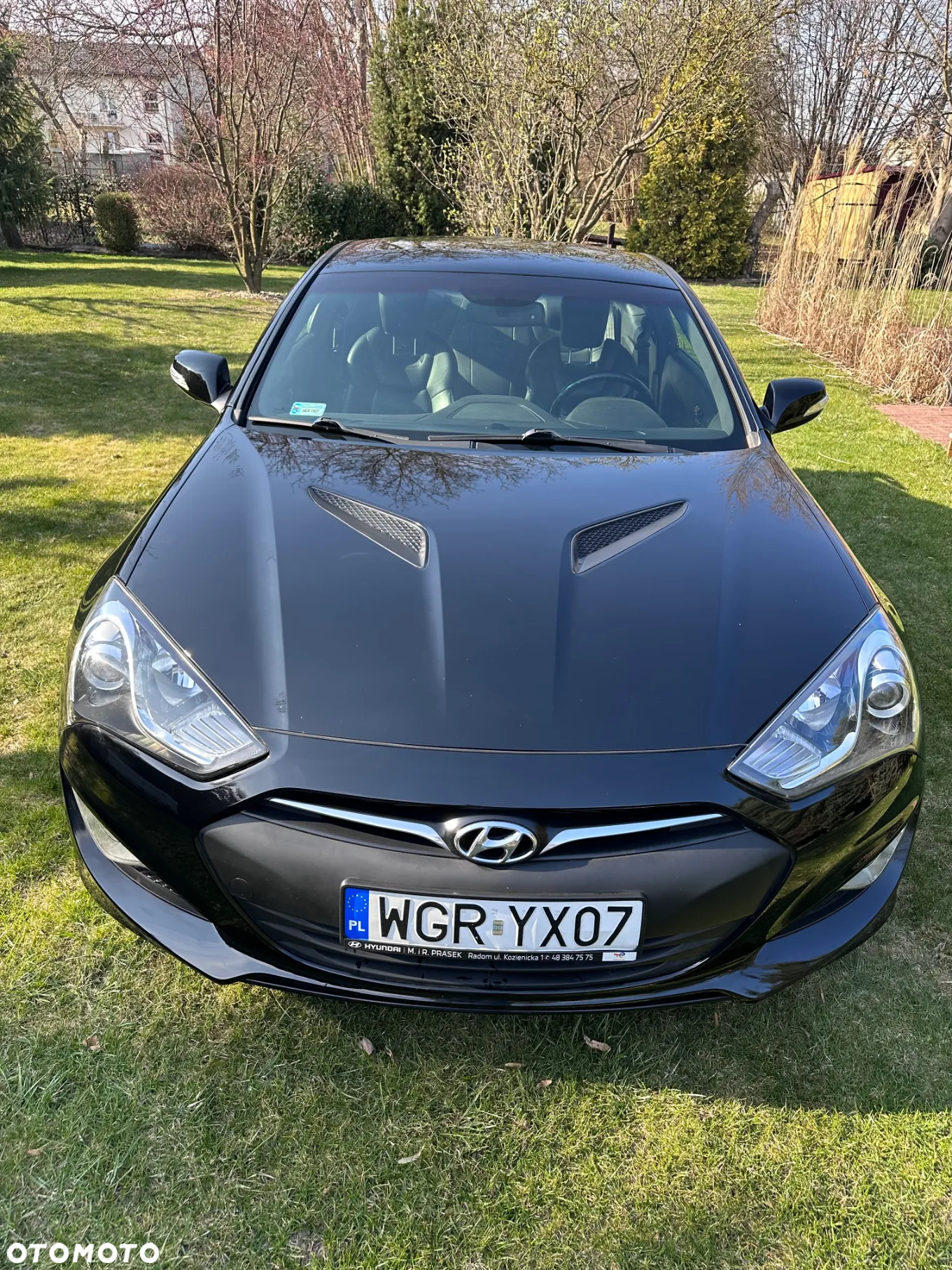 Hyundai Genesis Coupe 3.8 V6 Automatik - 3