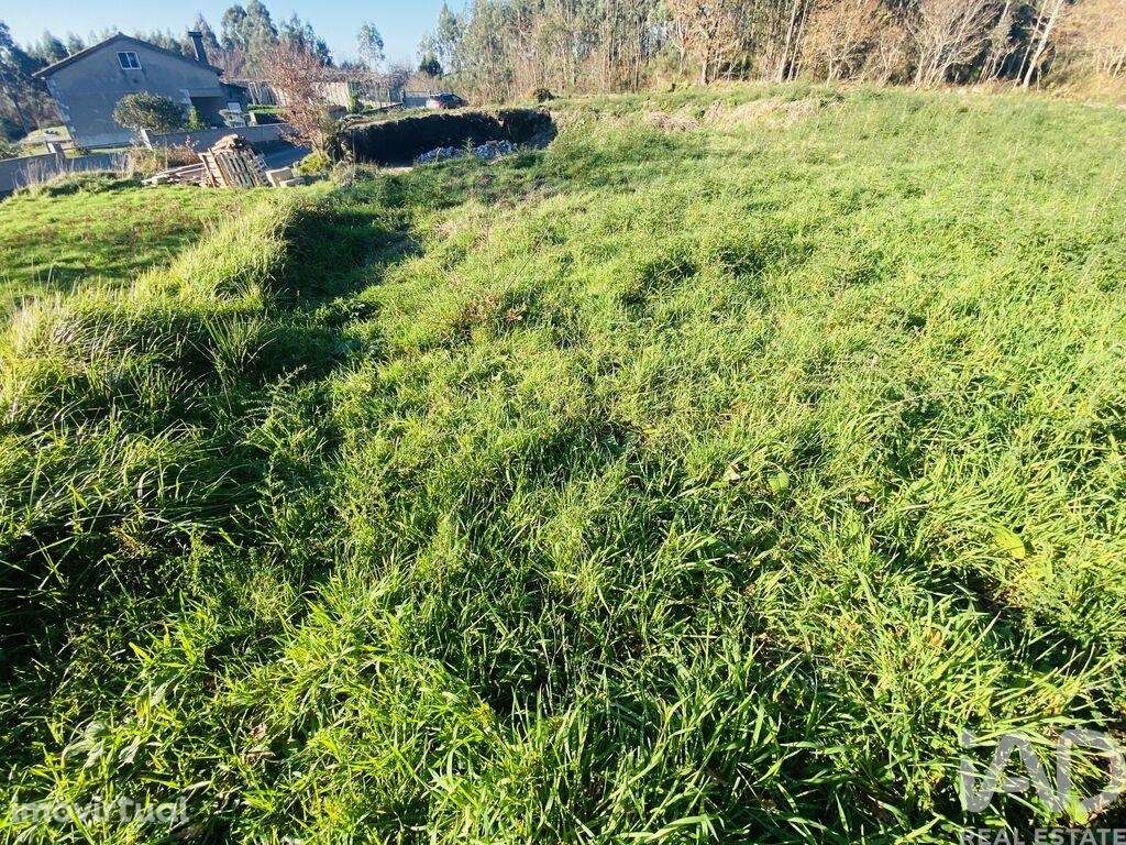 Terreno Agrícola em Sopo de 260,00 m2 - Grande imagem: 2/9