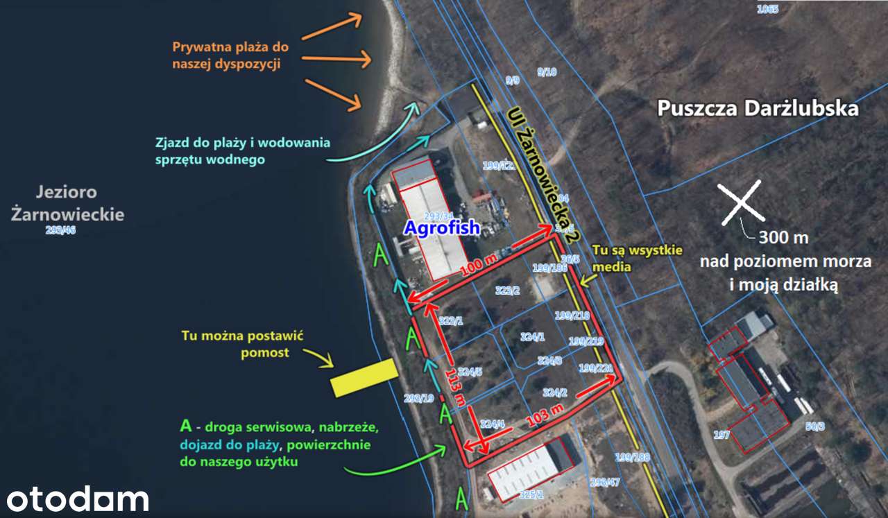 Unikatowa działka 1800m2 z prywatną plażą - Jezioro Żarnowieckie - Pełny obrazek: 4/7