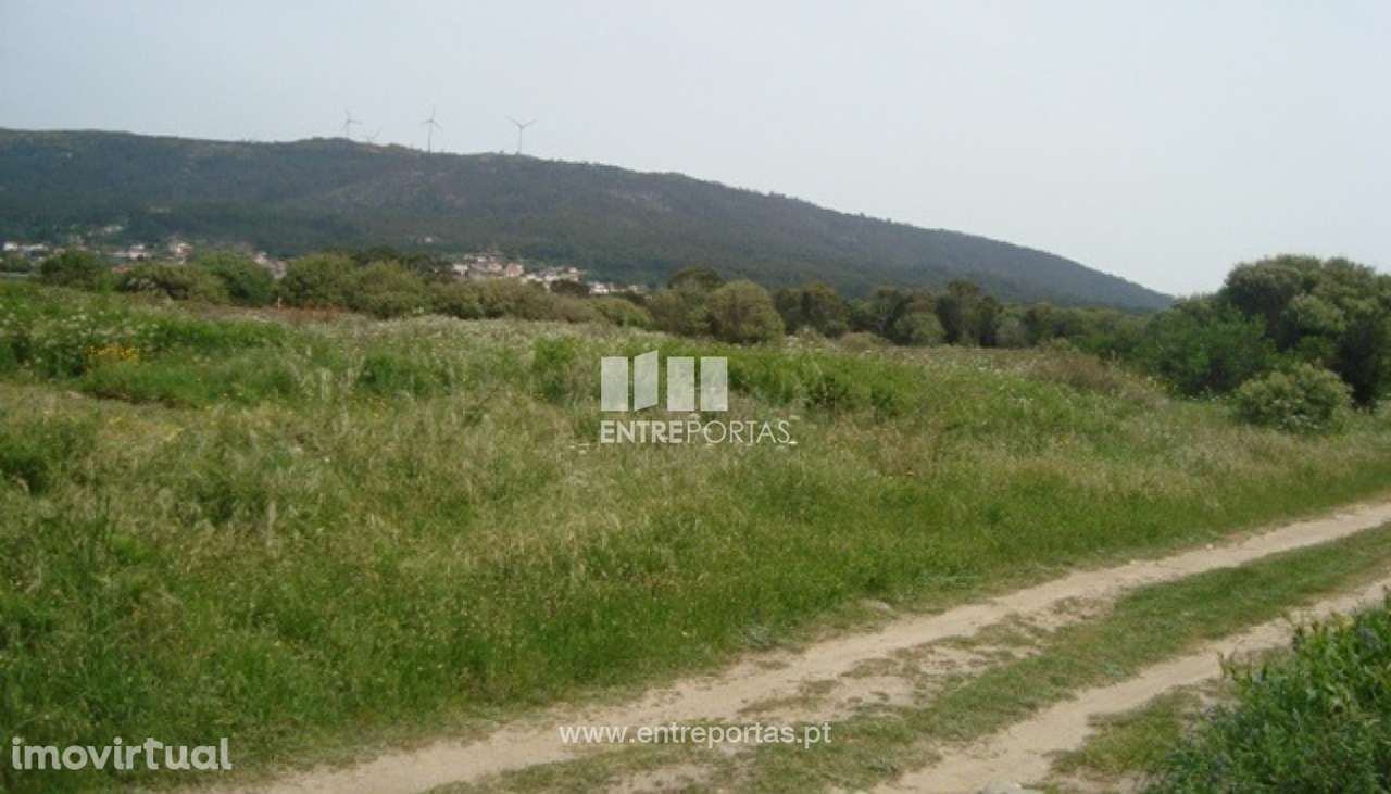 Terreno Agrícola - Afife - Grande imagem: 3/6