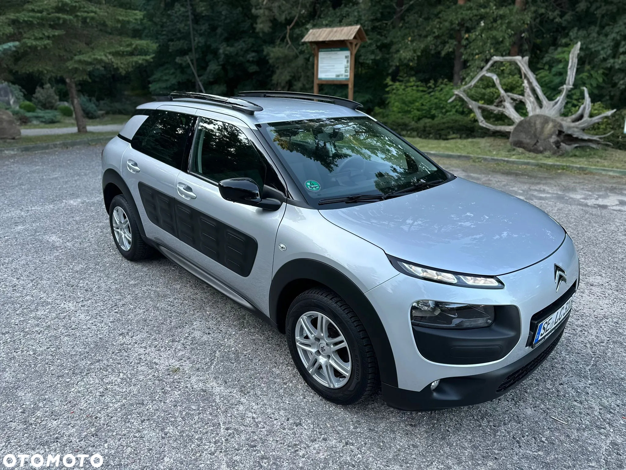 Citroën C4 Cactus - 10