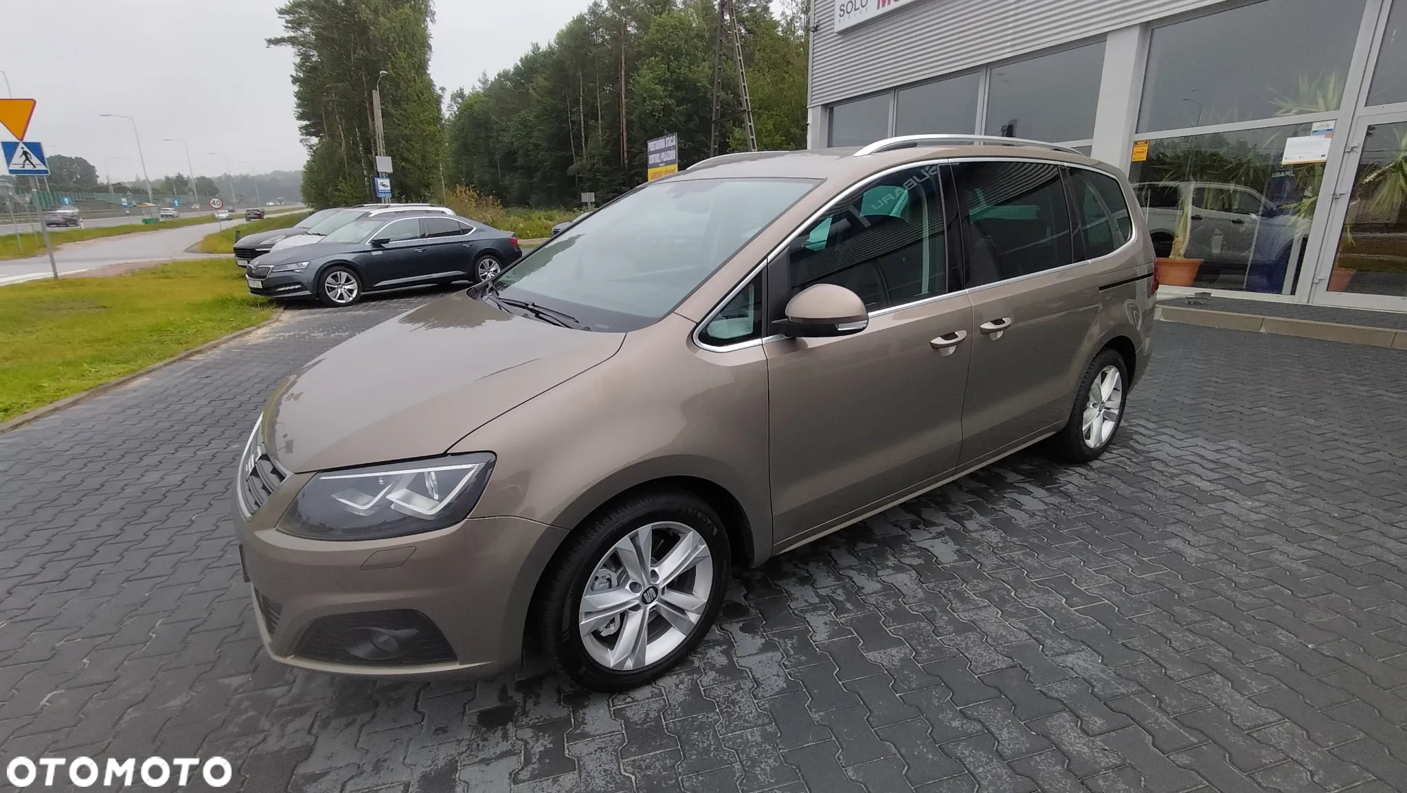 Seat Alhambra 2.0 TDI Style Advanced DSG - 19