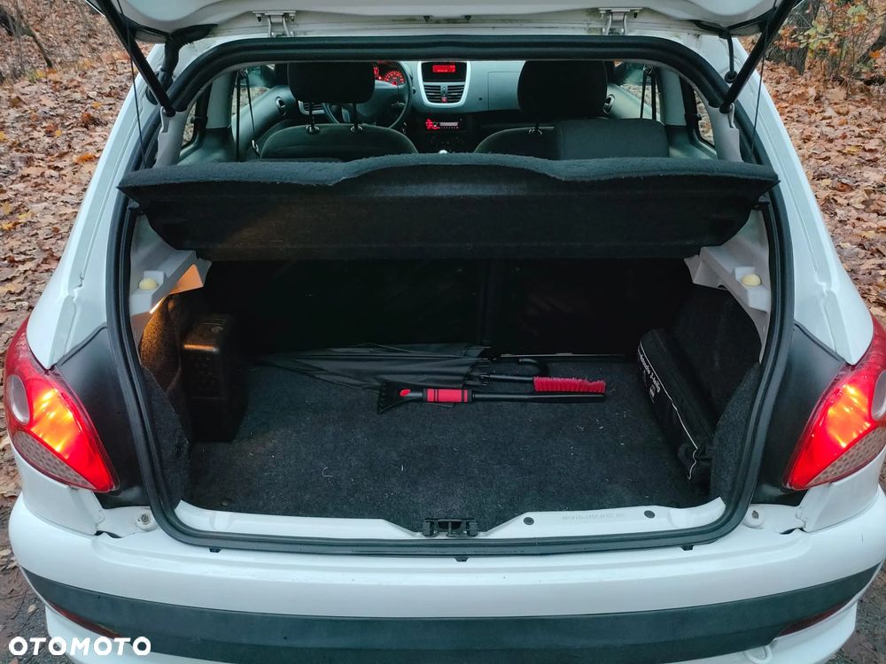 Peugeot 206 plus - 9
