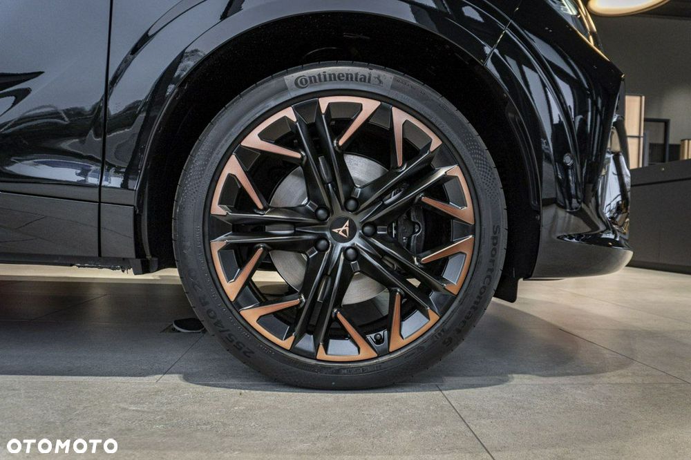 Cupra Terramar 2.0 TSI 4Drive Advantage Edition DCC DSG - 7