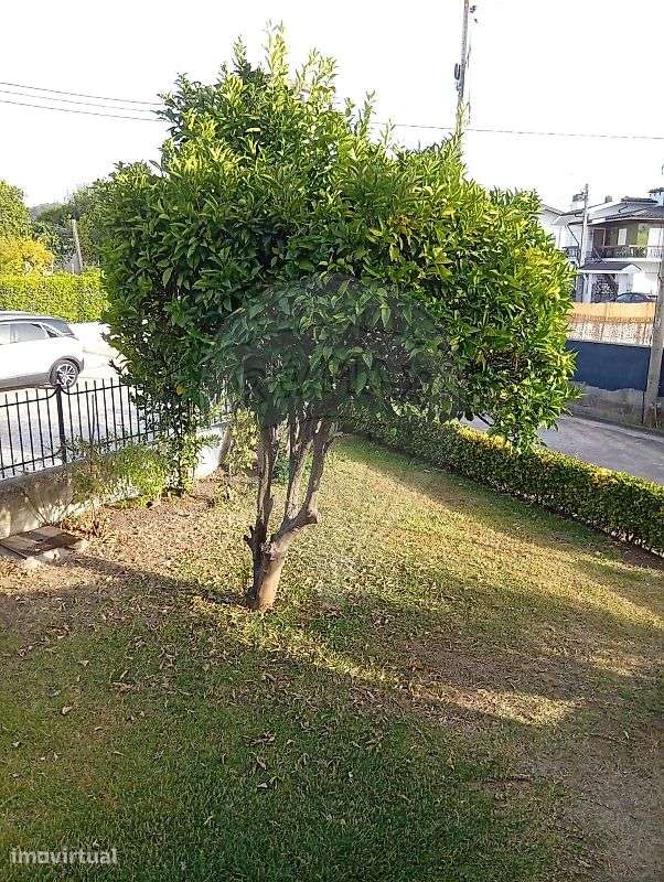 Moradia T6 para venda - Grande imagem: 4/10