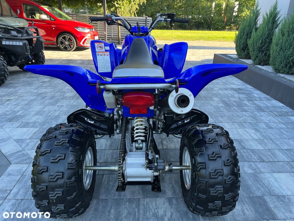 Yamaha Raptor - 7