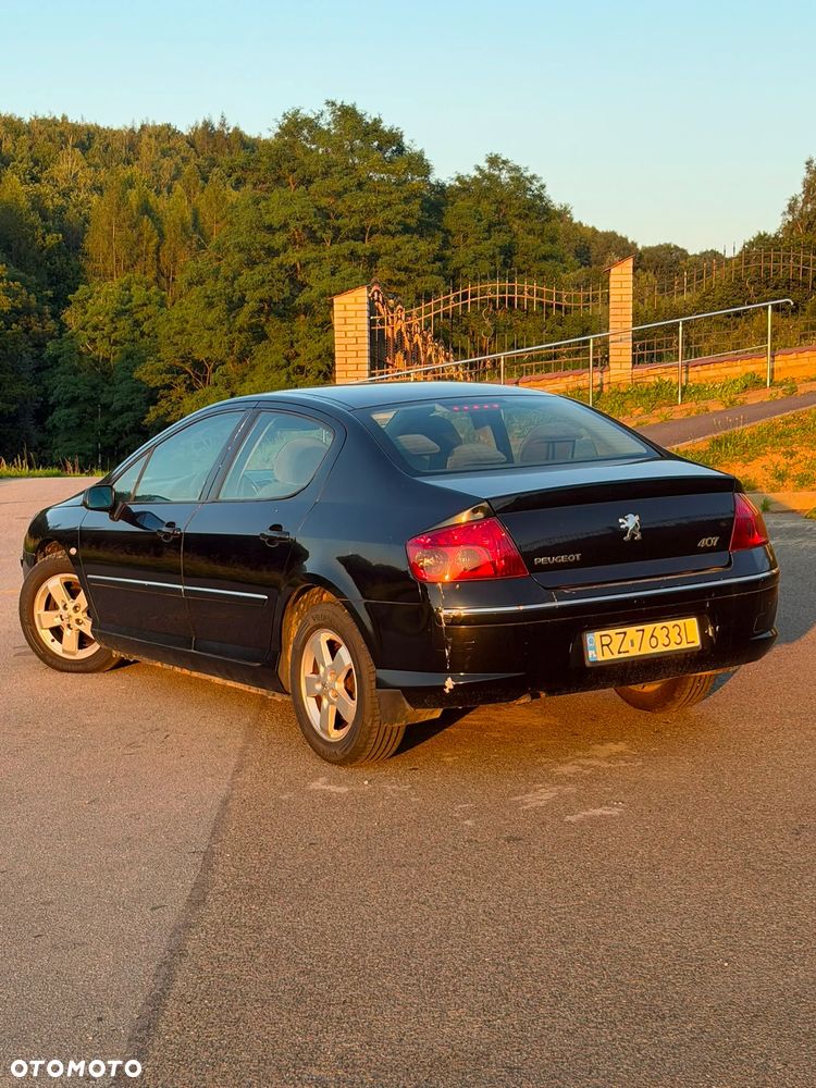 Peugeot 407 - 13
