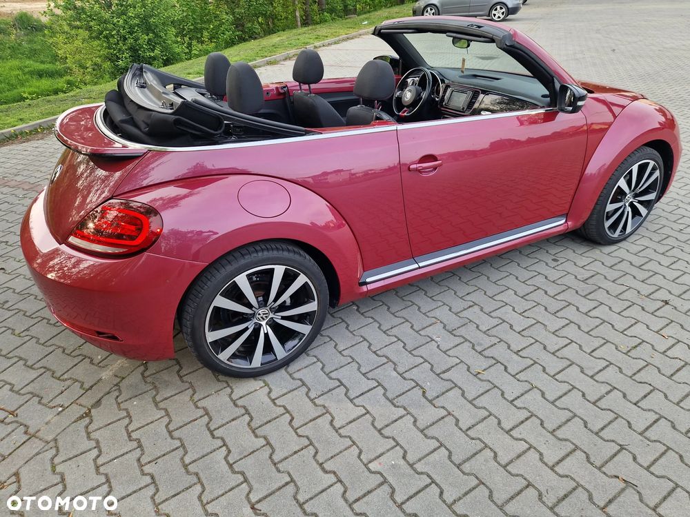 Volkswagen Beetle - 23
