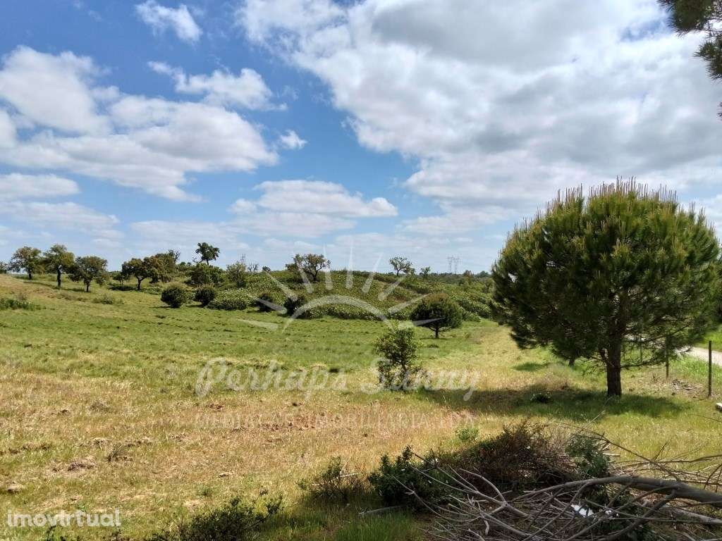 Propriedade de 6.4 hectares Santa Margarida da Serra - Grande imagem: 4/38