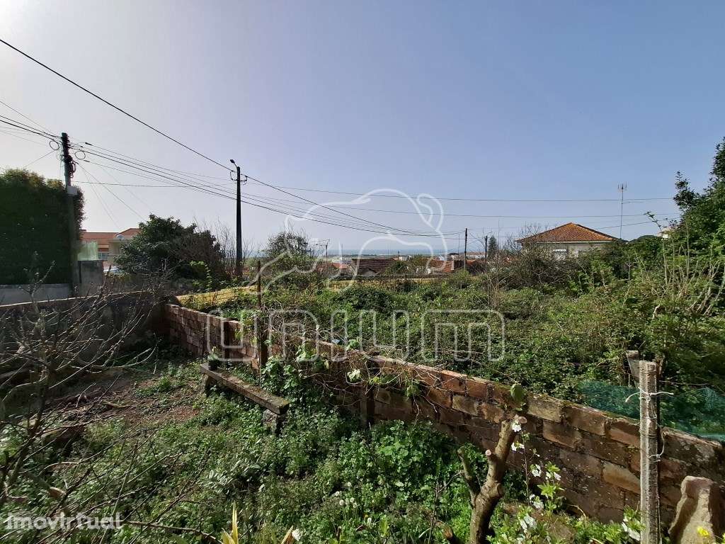 Moradia T2 - Areosa - Grande imagem: 2/11