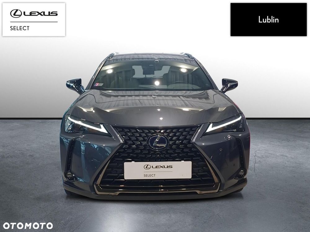 Lexus UX - 6