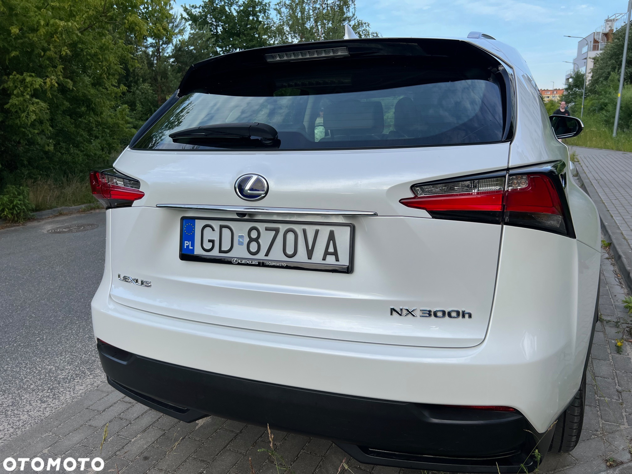 Lexus NX 300h Elite AWD - 9