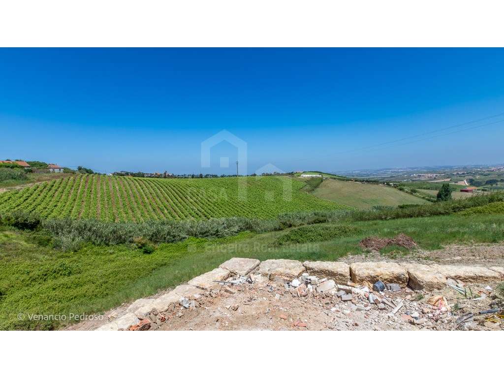 Vende Moradia T3 - Ericeira 15 km, A Casa das Casas - Grande imagem: 4/14