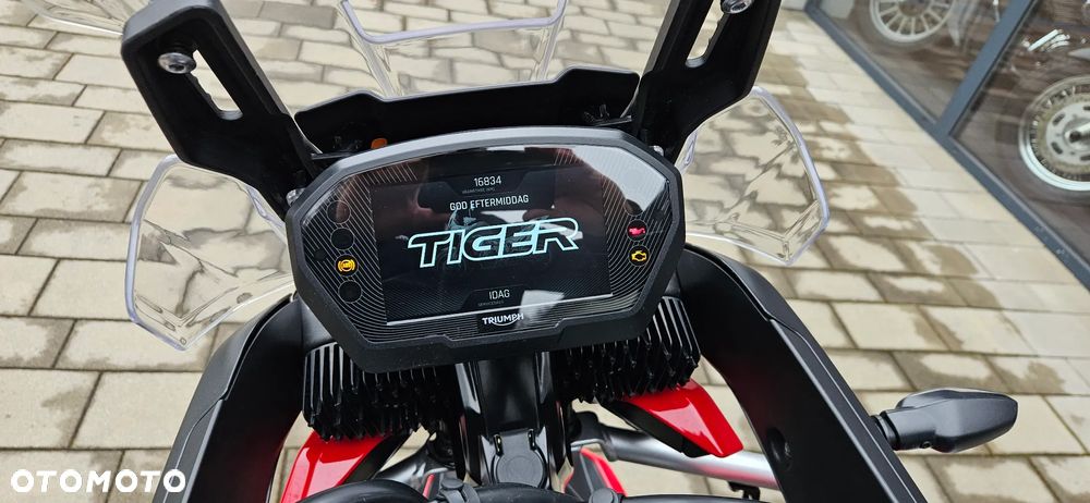 Triumph Tiger - 6