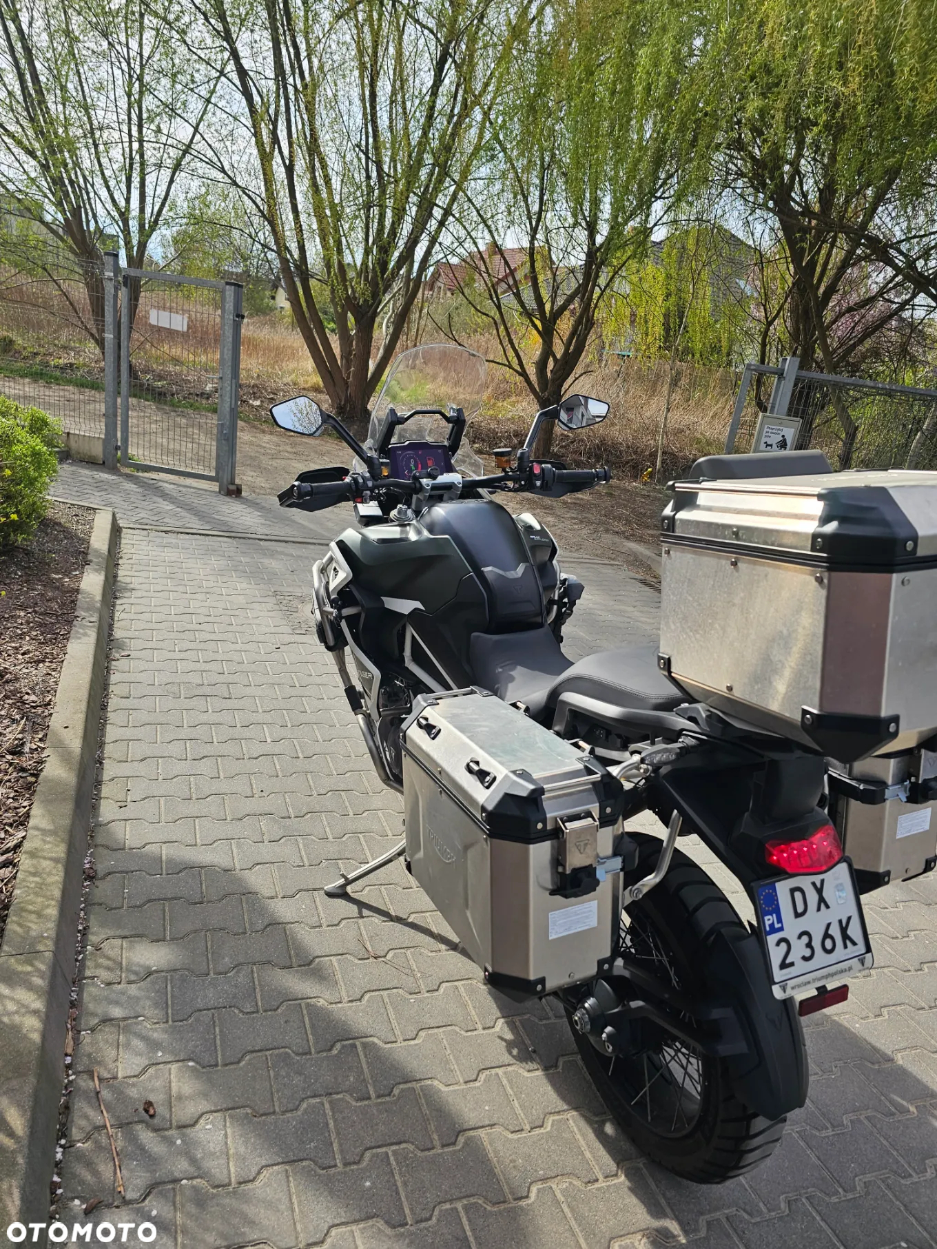 Triumph Tiger - 8