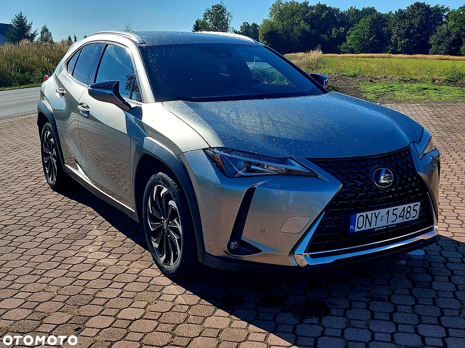 Lexus UX 200 GPF Pure 2WD - 6