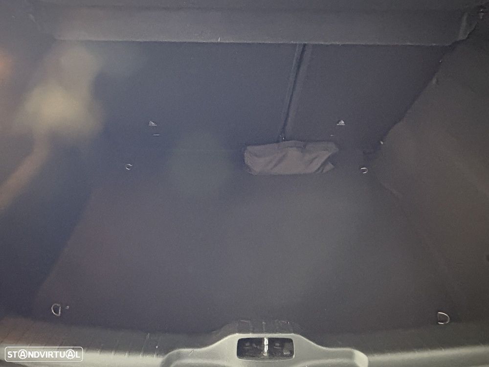 Citroën C4 Cactus 1.6 BlueHDi Shine - 21