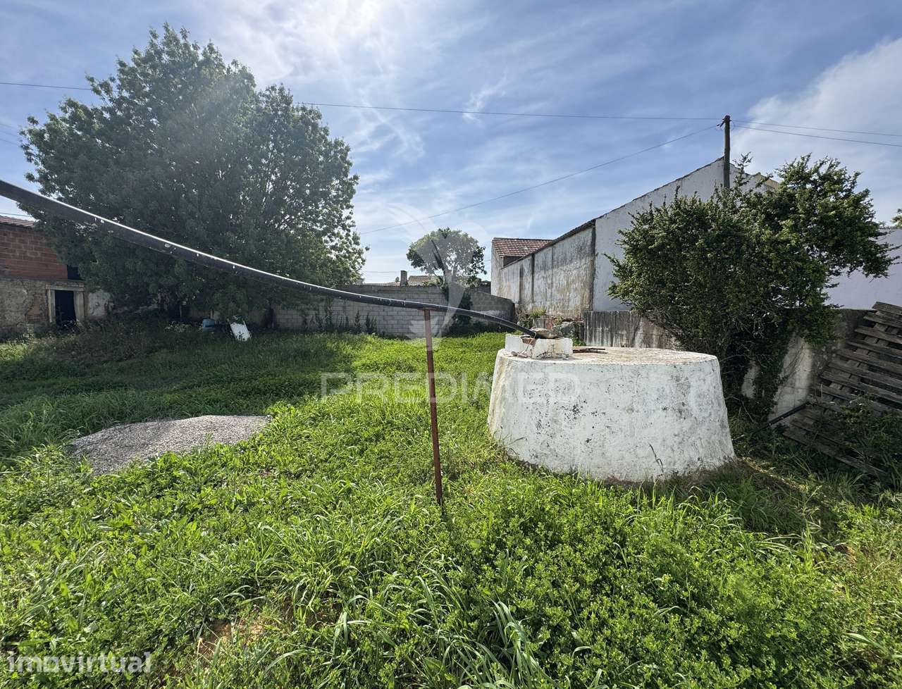 Oportunidade na Benedita | Lote com 600 m² - Grande imagem: 4/8