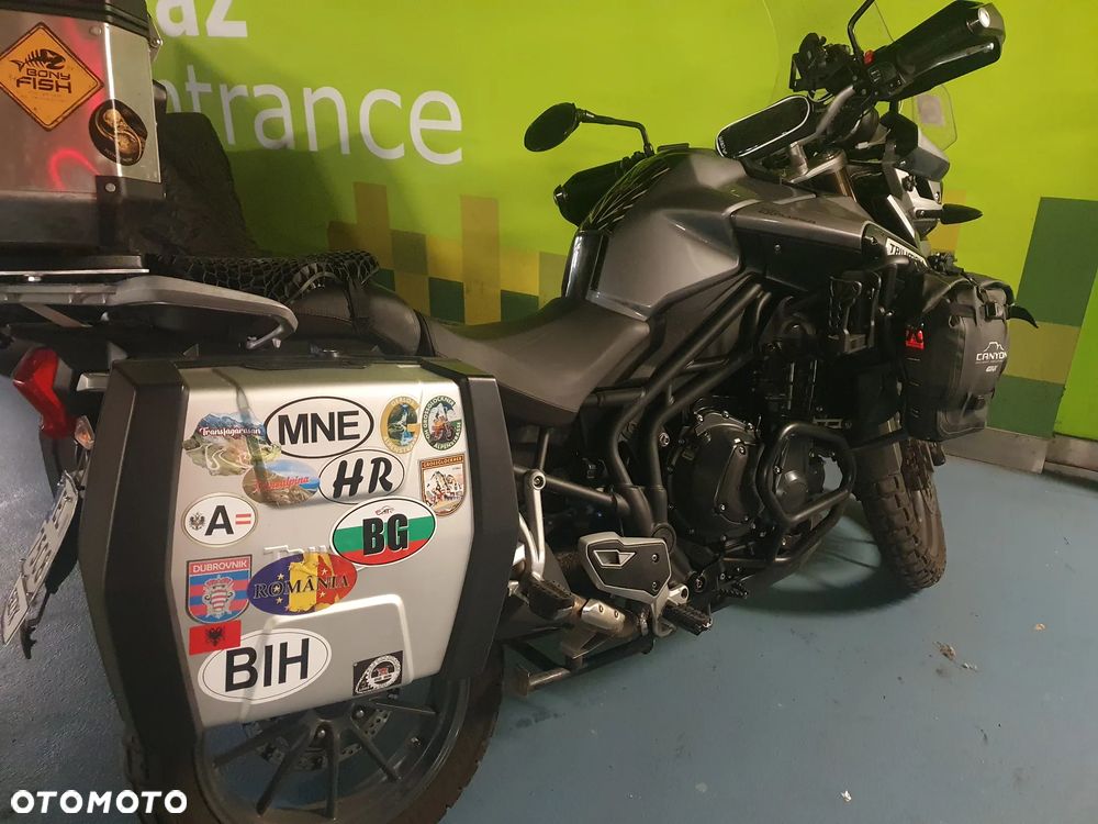 Triumph Tiger - 9