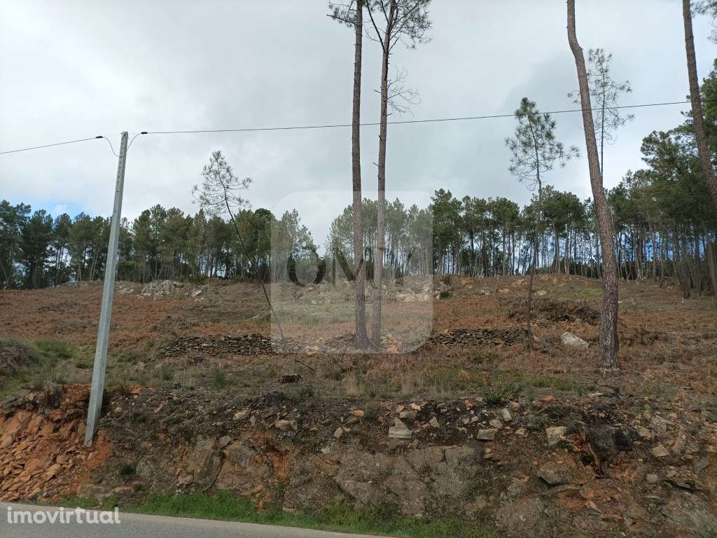 Terreno Junto à N322 na Freguesia de Constantim e Vale de Nogueiras - Grande imagem: 4/5