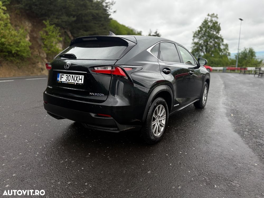 Lexus Seria NX - 6