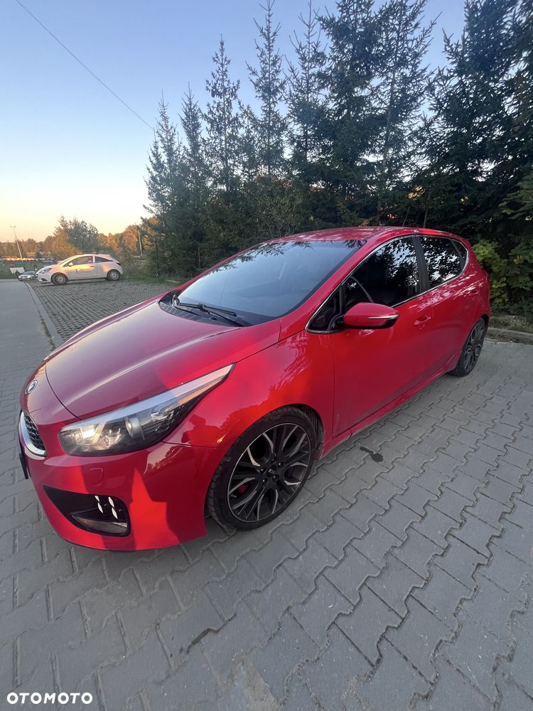Kia Ceed - 1