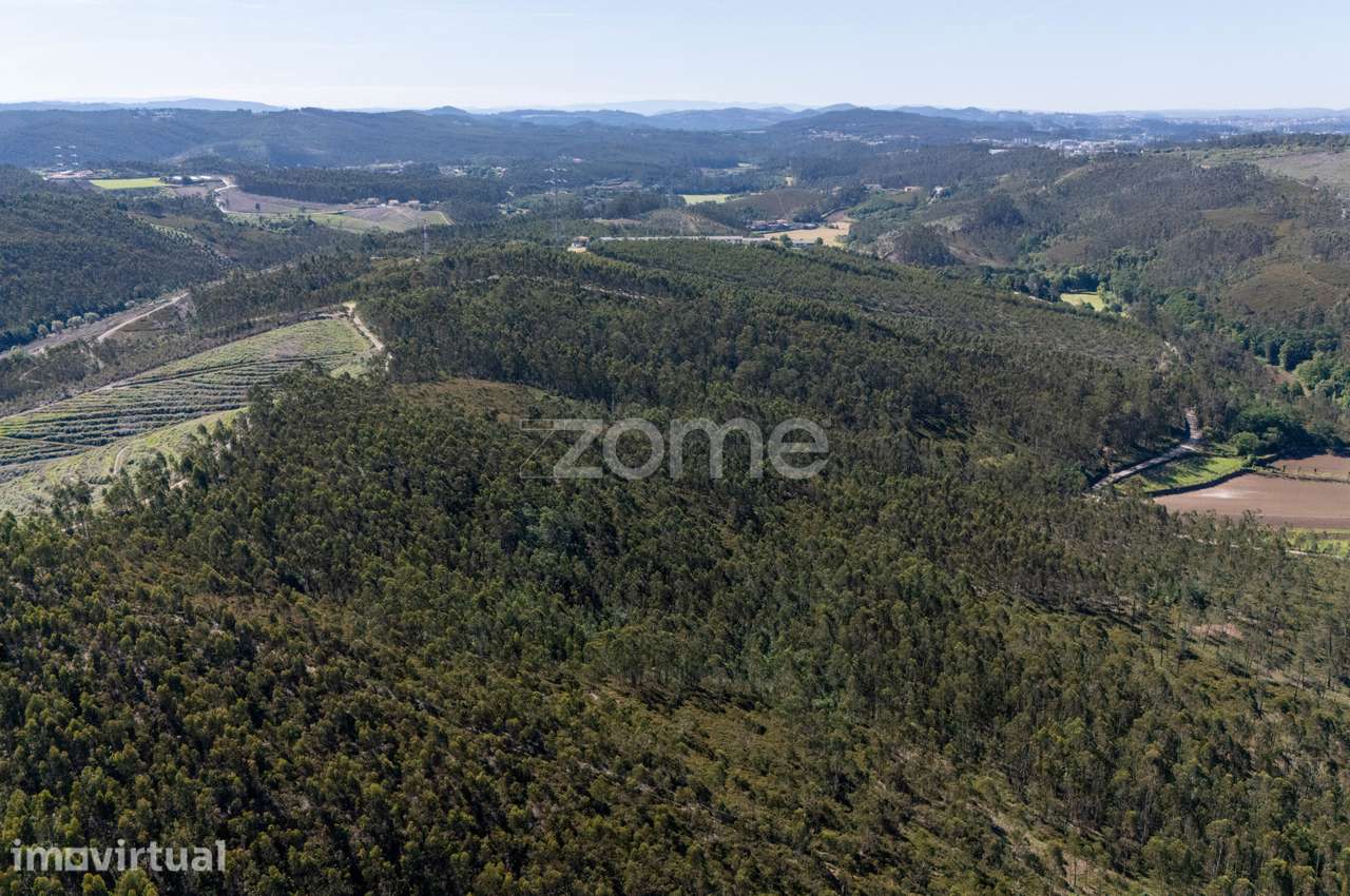 Terreno rústico - 35.600m2 - Cedões - Trofa - Grande imagem: 5/15