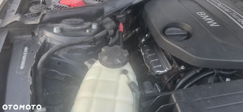 BMW Seria 3 318d Blue Performance - 15