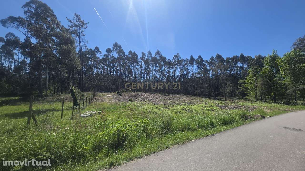 Terreno Rústico em Santa Joana - Aveiro - Grande imagem: 2/12