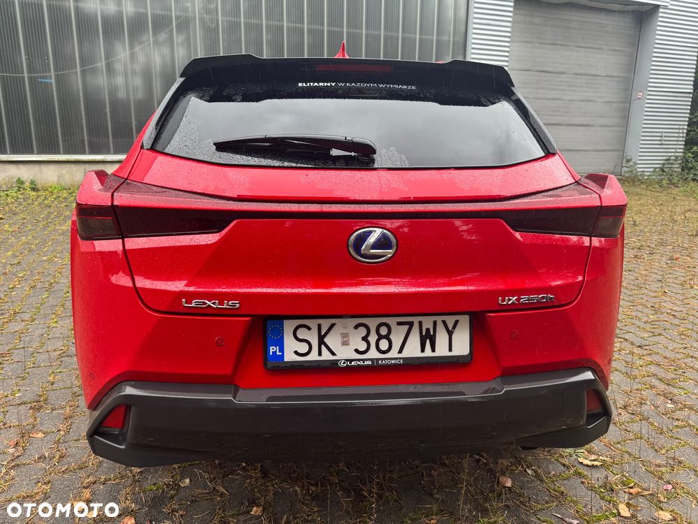 Lexus UX 250h GPF Business Edition 2WD - 17