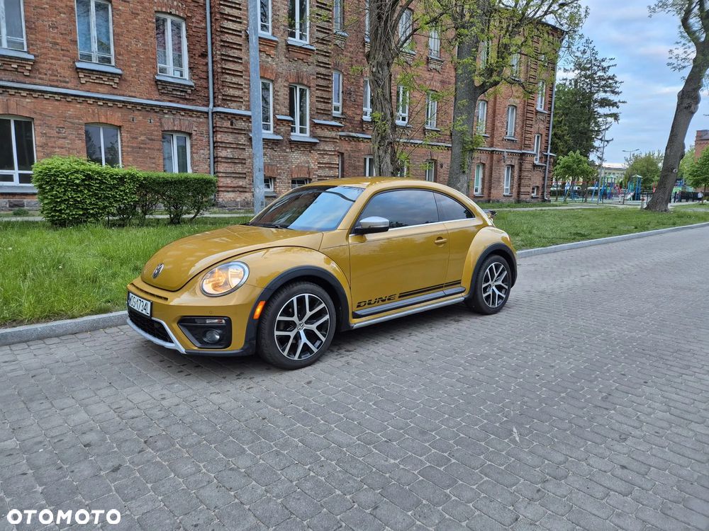 Volkswagen Beetle - 13