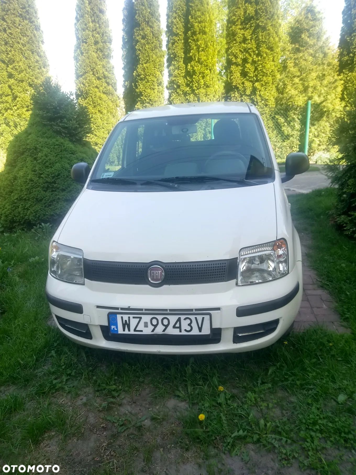 Fiat Panda 1.3 Multijet Actual - 1