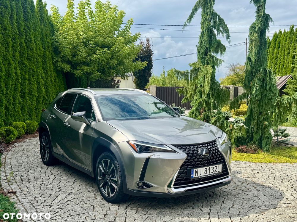 Lexus UX 250h F Sport 2WD - 1