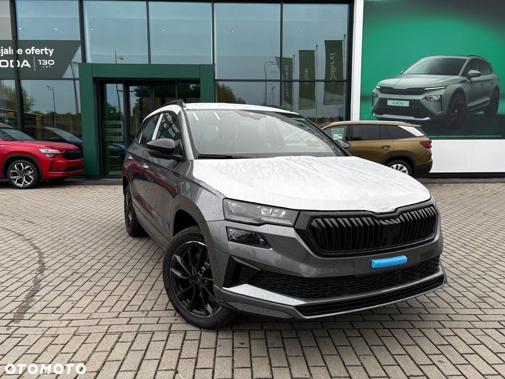 Skoda Karoq - 2