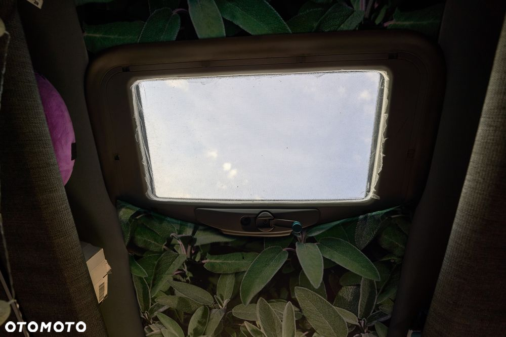 Mercedes-Benz Sprinter - 31