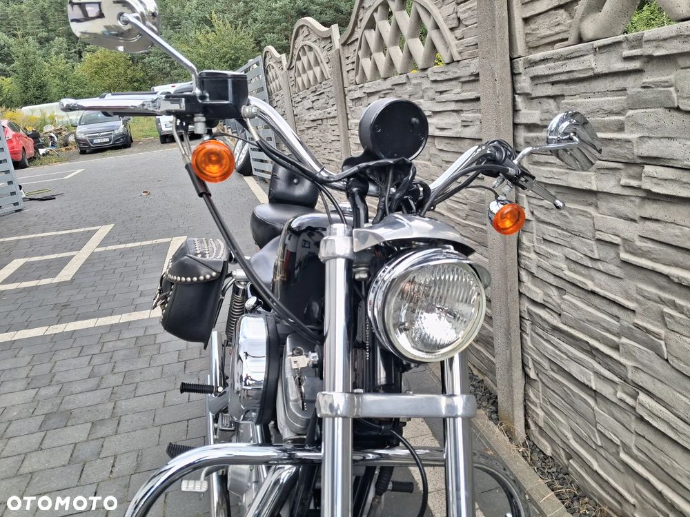 Harley-Davidson Sportster Custom 883C - 8