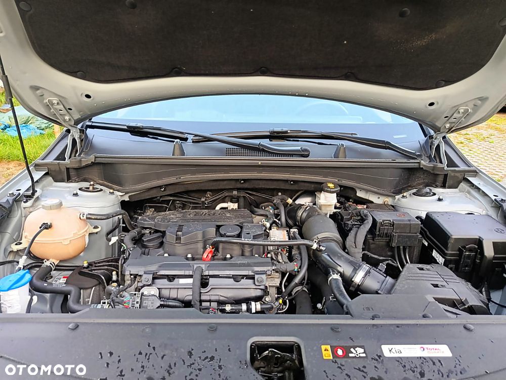 Kia Sportage 1.6 T-GDI MHEV Anniversary 4WD DCT - 16