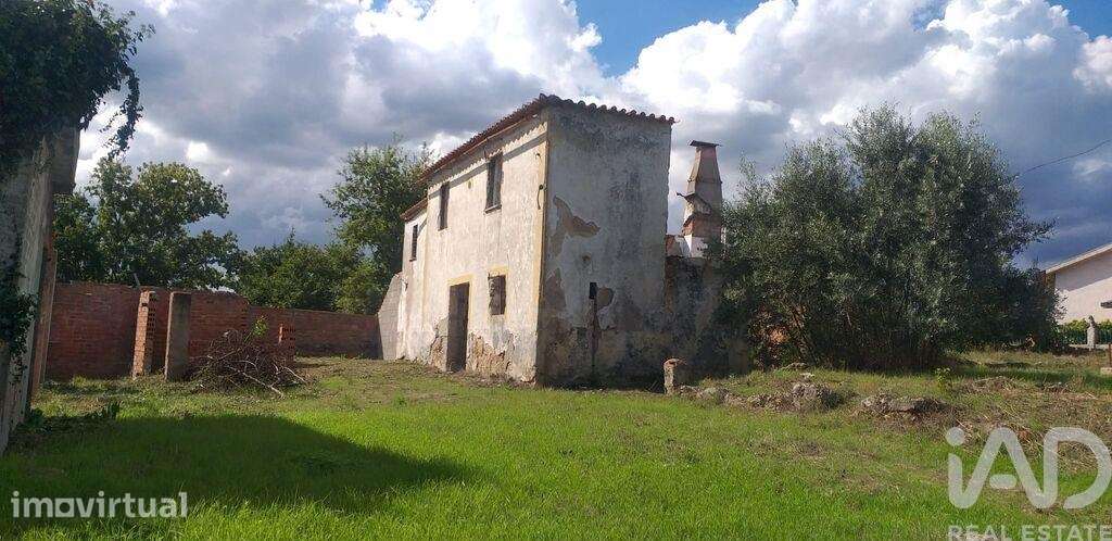 Casa / Villa T3 em Santa Comba Dão e Couto do Mosteiro - Grande imagem: 3/28