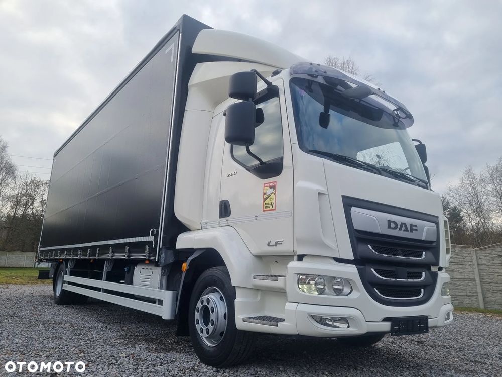 DAF LF 260 / EURO 6 / FIRANKA / 20 palet / 16000kg - 9