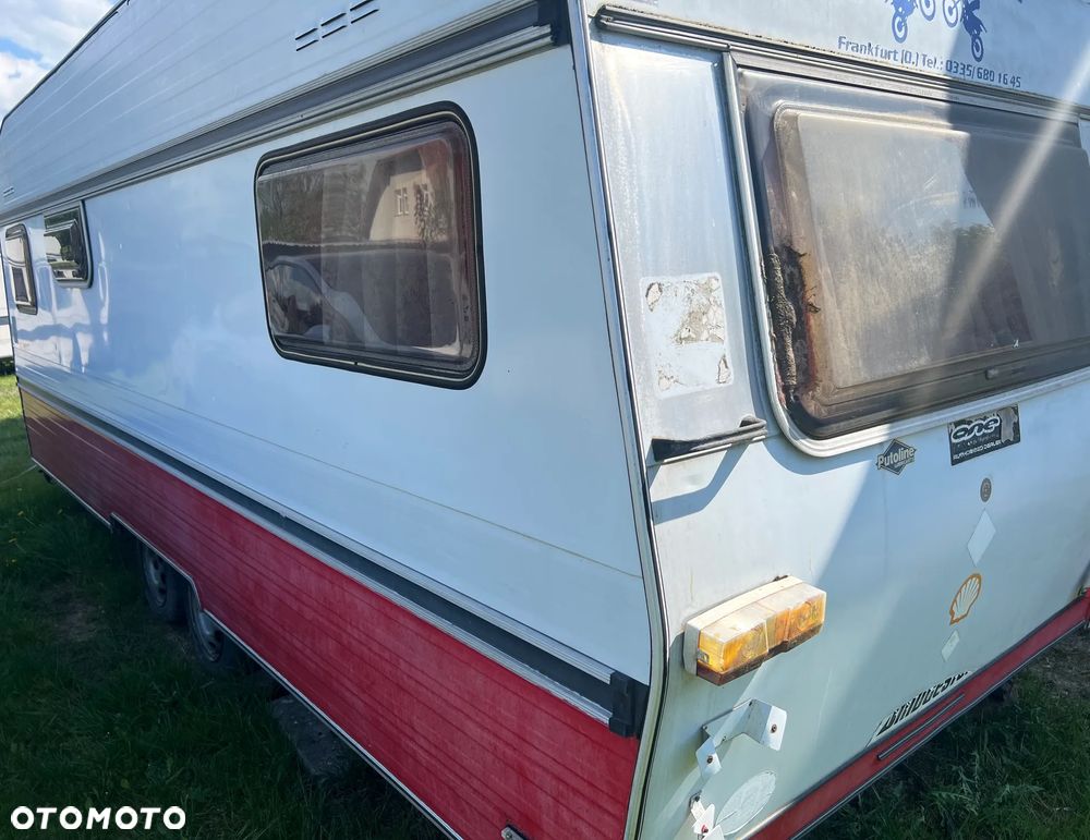 Wilk CI SAFARI 531 - 3