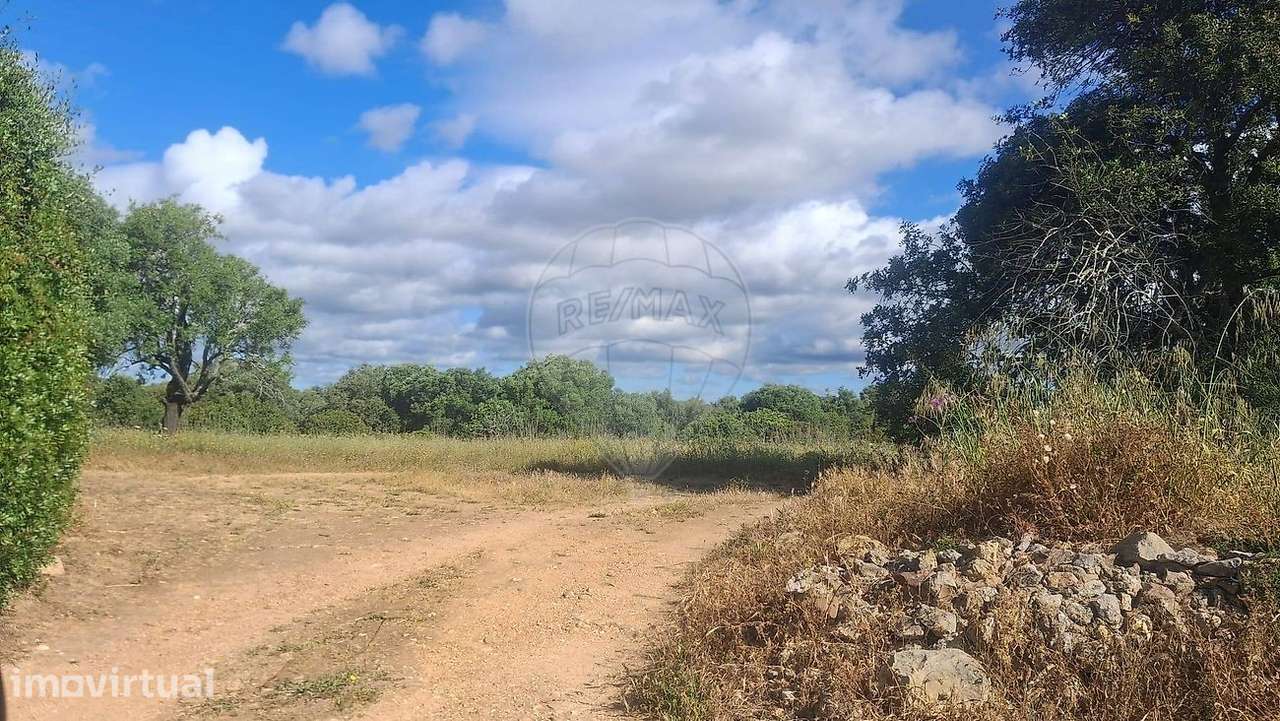 Terreno  para venda - Grande imagem: 3/6