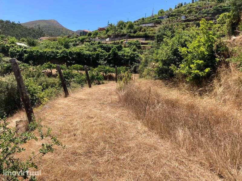 Quinta Arouca 6600mt2 - Grande imagem: 2/12