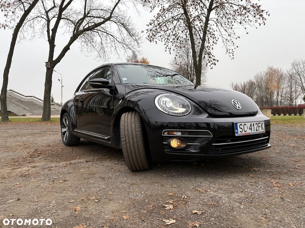 Volkswagen Beetle - 1